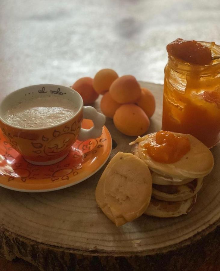 Il Casale Di Punta Prosciutto Acomodação com café da manhã Exterior foto